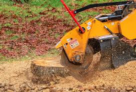 Best Mulching Services  in USA